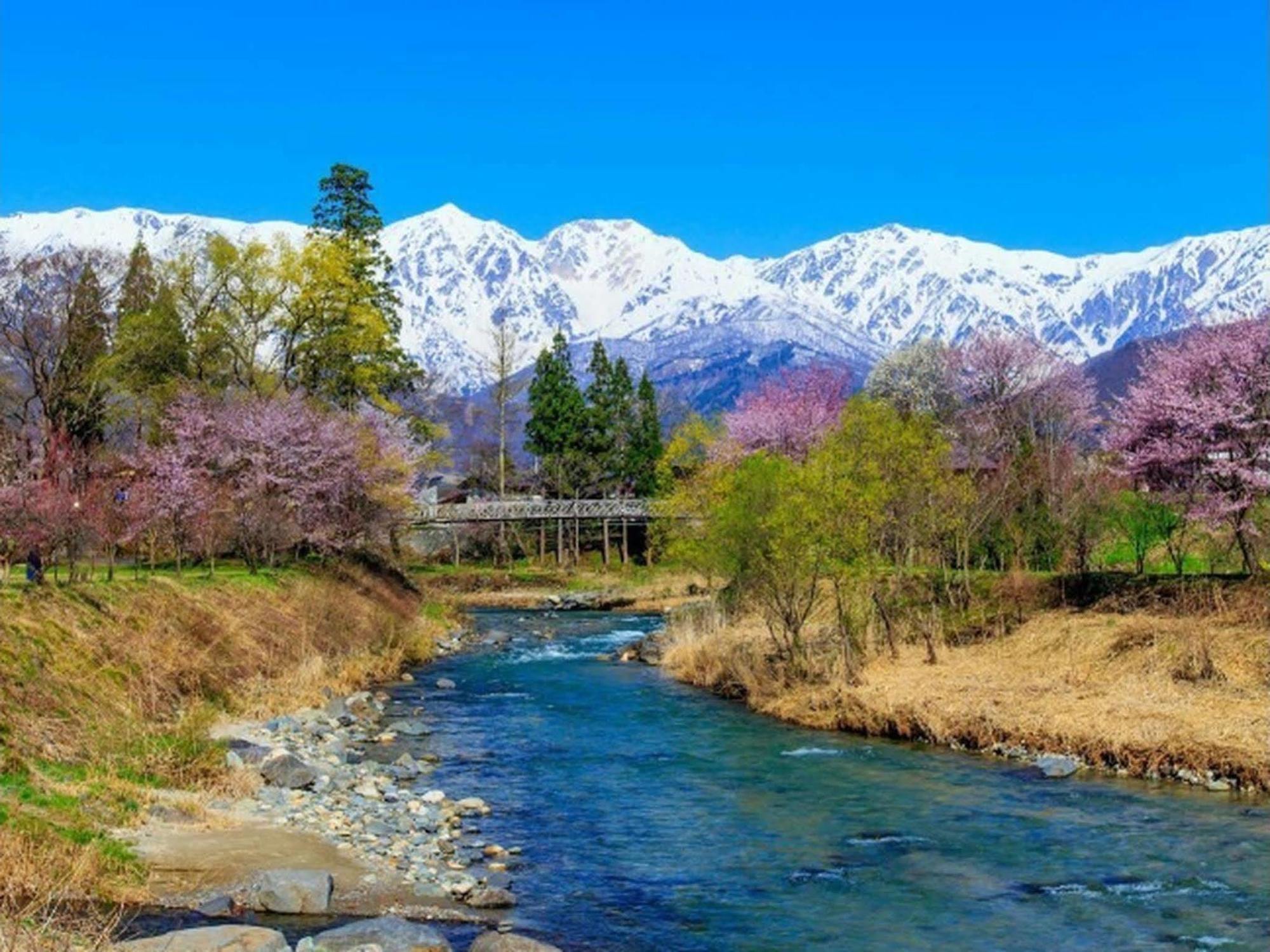 Villa Rengatei Hakuba Exteriör bild